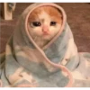 ANIMALITOS 3 26