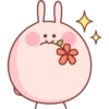 🐇Conejo rosita🐇 25