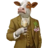 COW 29