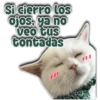 Si cierro los ojos, ya no veo tus tontadas Persy