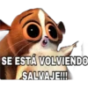 Cálmese - Peleas 2 24
