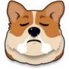 Corgi emojis 🐶 18