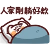 Blanket Meow 5