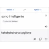 Sono un drago 🦔🇫🇮🔥 7