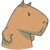 Capybara&Co 5