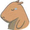 Capybara&Co 6