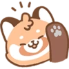 Cute Red Panda 8