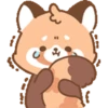 Cute Red Panda 9