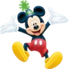 Mickey Mouse 6