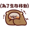 Winter Meow 8