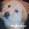 Shitpost 4 9