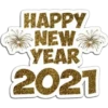 Feliz Año Nuevo 2021 9