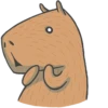 Capybara&Co 8