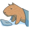 Capybara&Co 9