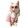 Gatitos 3 Clásica 9