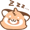 Cute Red Panda 14