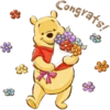 Winnie the Pooh 14