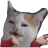 memes gatos 8
