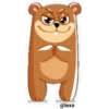 🐻❤️Bear Emoji❤️🐻 11