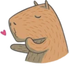 Capybara&Co 11