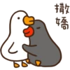 duckmom 12