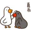 duckmom 13
