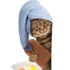 Gatitos 3 Clásica 13