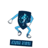 Tomer Test 11