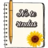 Notas🍭 15