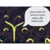¿Qué miráis? Os arranco la puta cabeza ¿Me habéis oído?