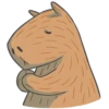 Capybara&Co 13