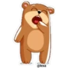🐻❤️Bear Emoji❤️🐻 16