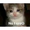 Memes en español 5 18