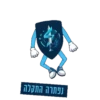 Tomer Test 12
