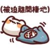 sleep meow 17