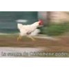 Shitpost 5 6