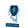 Tomer Test 13