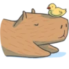 Capybara&Co 15
