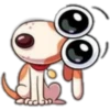 Perrito Funny ✺1🇻🇪 15