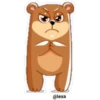 🐻❤️Bear Emoji❤️🐻 19