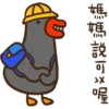 duckmom 19
