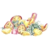 food 11