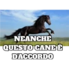 NEANCHE QUESTO CANE È D'ACCORDO