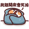 sleep meow 19