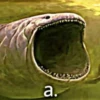 Shitpost 4 22