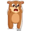 🐻❤️Bear Emoji❤️🐻 20