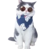 版