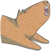 Capybara&Co 18