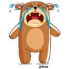 🐻❤️Bear Emoji❤️🐻 23