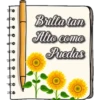 Notas🍭 19